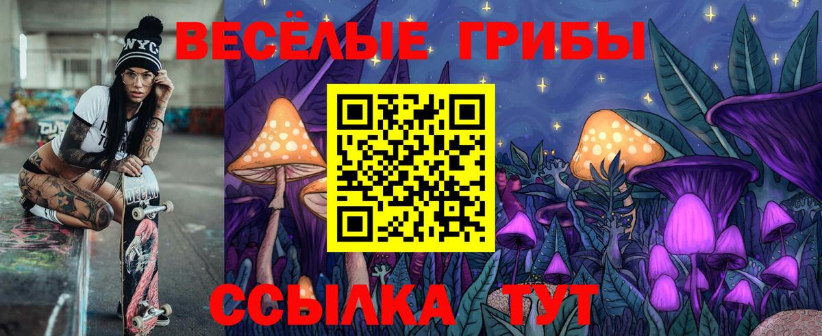 Галлюциногенные грибы Psilocybine cubensis  Вход с VPN  Липецк  Галлюциногенные грибы GOLDEN TEACHER 